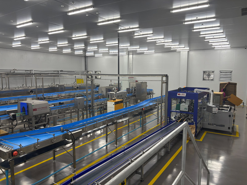 Jus Mengenakan Garis